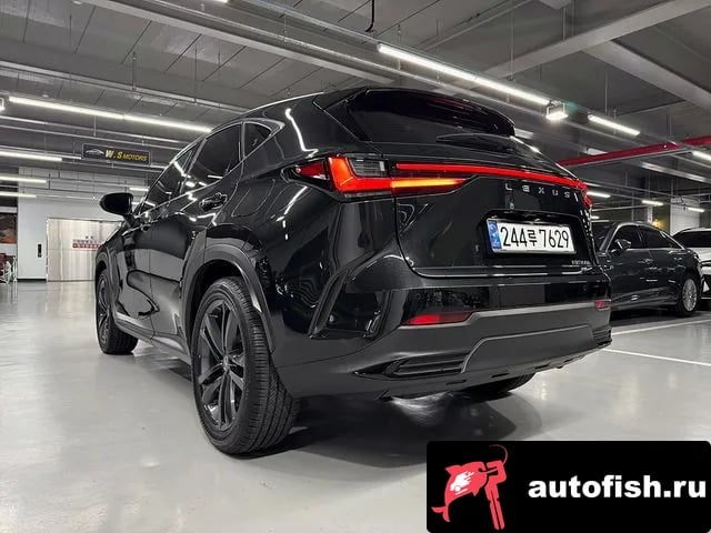 Lexus NX NX350h Second generation 2025 года - вид 6