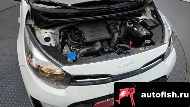 Kia morning Morning Urban (JA) 2022 года - вид 6