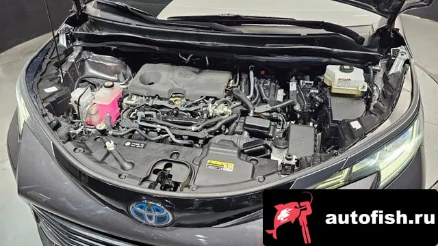 Toyota Sienna Siena 4th Generation 2022 года - вид 6