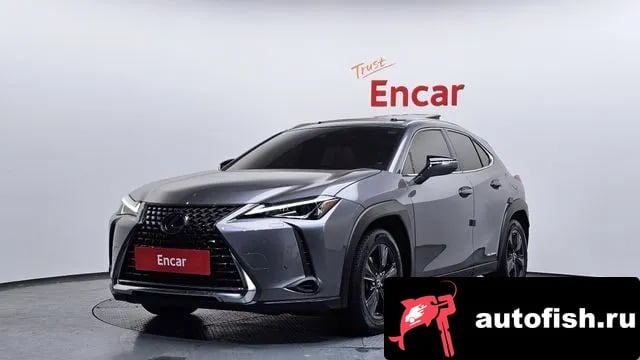 Lexus UX UX250h 2019 года - вид 1