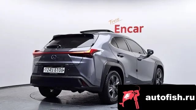 Lexus UX UX250h 2019 года - вид 2
