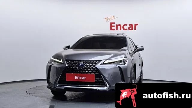 Lexus UX UX250h 2019 года - похожие автомобили