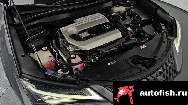 Lexus UX UX250h 2019 года - вид 6
