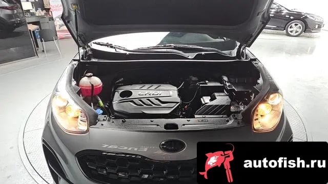 Kia Sportage Sportage The Bold 2021 года - вид 6