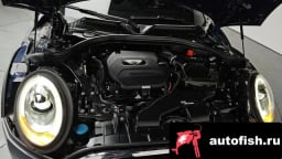 Миниатюра 5