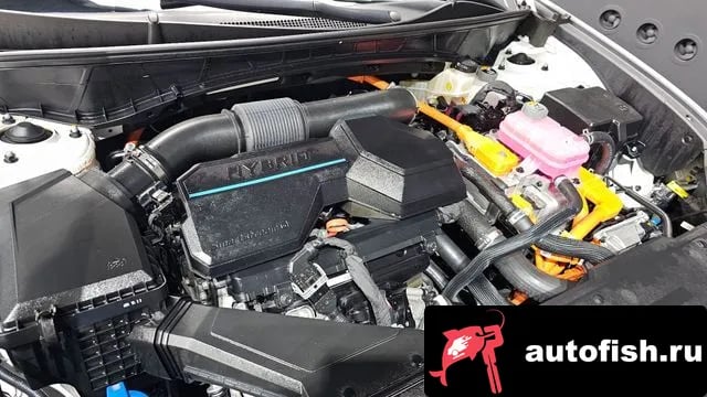 Hyundai Tucson Tucson Hybrid (NX4) 2021 года - вид 5