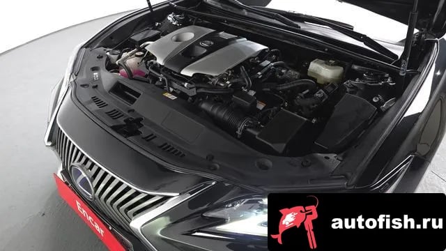 Lexus ES ES300h 7th generation 2021 года - вид 5