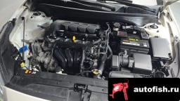 Миниатюра 6