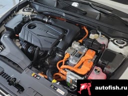 Миниатюра 6