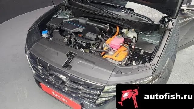 Hyundai Tucson Tucson Hybrid (NX4) 2022 года - вид 6