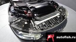 Миниатюра 5