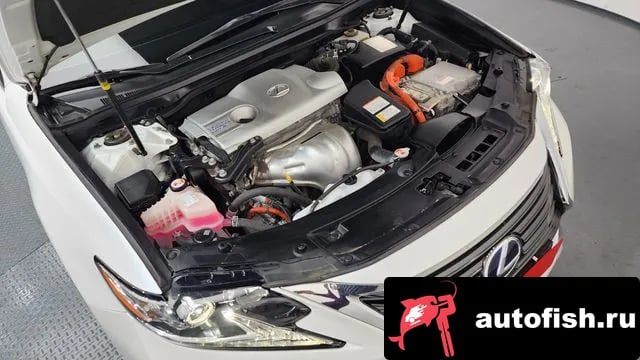 Lexus ES New ES300h 2018 года - вид 6