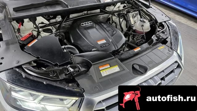 Audi Q5 Q5 (FY) 2020 года - вид 6