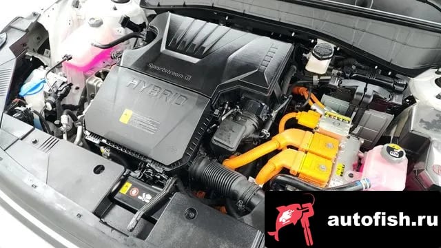 Hyundai Kona Kona Hybrid (SX2) 2024 года - вид 6