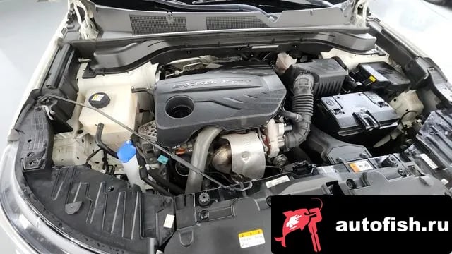KG Mobility (Ssangyong) KORANDO Beautiful Korando 2022 года - вид 5