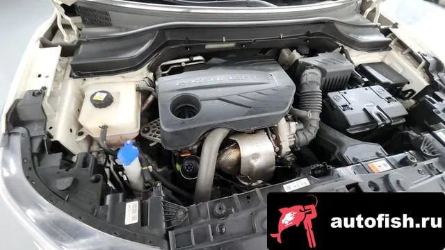 KG Mobility (Ssangyong) TIBOLI Berry New Tivoli 2020 года - вид 6