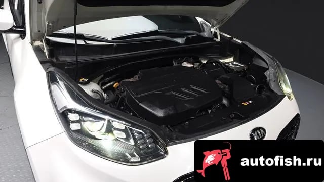 Kia Sportage Sportage The Bold 2018 года - вид 6