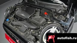 Миниатюра 6