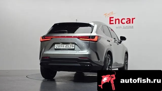 Lexus NX NX350h Second generation 2023 года - вид 4
