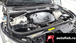 Миниатюра 6