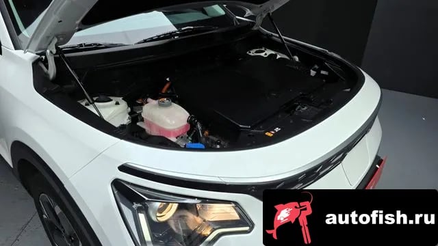 Kia Niro Di All New Niro EV 2022 года - вид 6