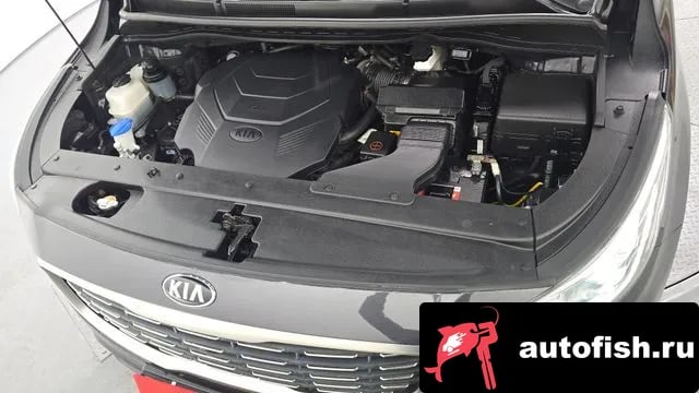 Kia Carnival The New Carnival 2018 года - вид 6