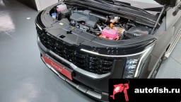 Миниатюра 6