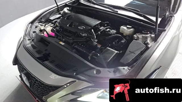 Lexus ES ES300h 7th generation 2024 года - вид 6