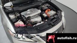 Миниатюра 6