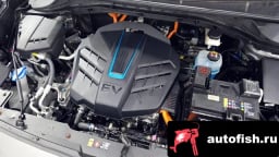 Миниатюра 6