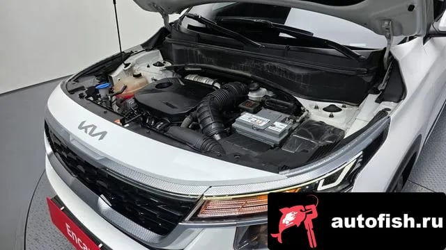 Kia Seltos Celtos 2022 года - вид 6