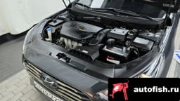 Миниатюра 6