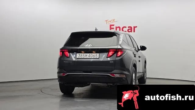 Hyundai Tucson Tucson (NX4) 2023 года - вид 4