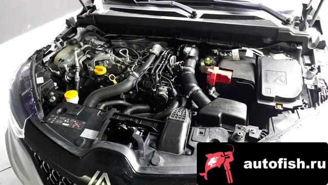 Renault Korea (Samsung) Arkana Arcana 2024 года - вид 6