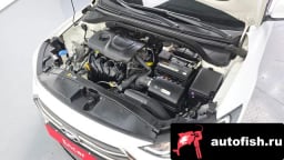 Миниатюра 6