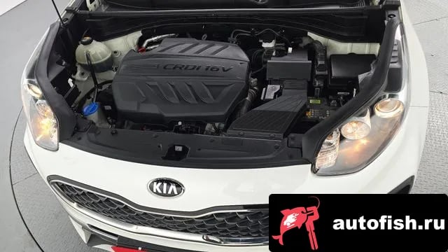 Kia Sportage Sportage The Bold 2020 года - вид 6