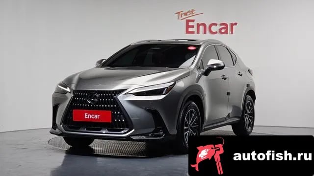 Lexus NX NX450h + 2nd generation 2022 года - вид 1