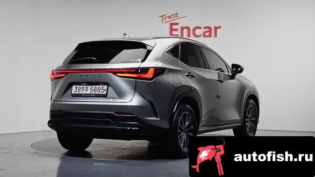 Lexus NX NX450h + 2nd generation 2022 года - вид 2