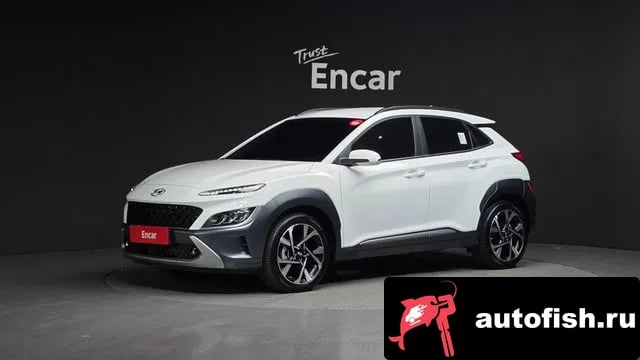 Hyundai Kona The New Kona 2022 года - вид 1