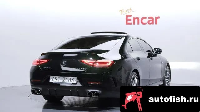 Mercedes-Benz CLS-Class CLS-Class C257 2019 года - вид 2