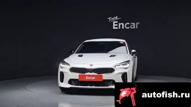 Kia Stinger Stinger Meister 2022 года - вид 3