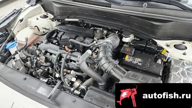 Kia Seltos The New Celtos 2023 года - похожие автомобили