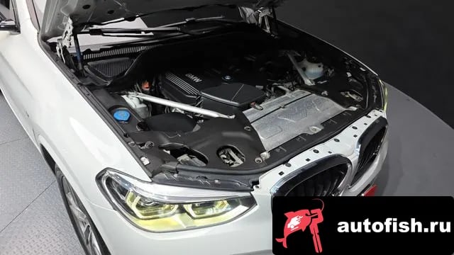BMW X4 X4 (G02) 2018 года - вид 6