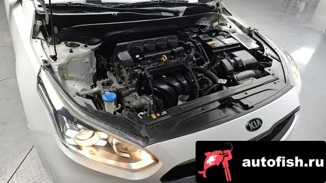 Kia K3 Come New K3 2019 года - вид 6