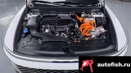 Миниатюра 6