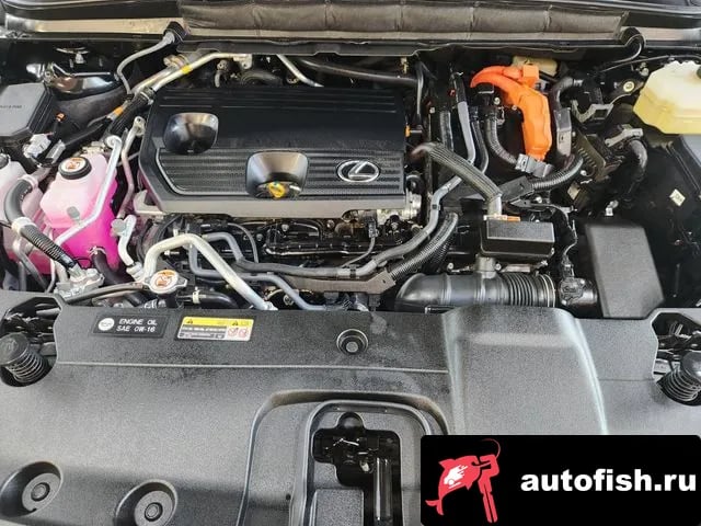 Lexus RX RX450h + 5th generation 2025 года - вид 6