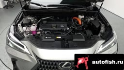 Миниатюра 6