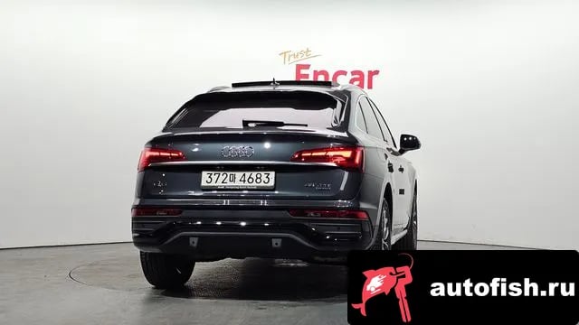 Audi Q5 Q5 (FY) 2023 года - вид 4