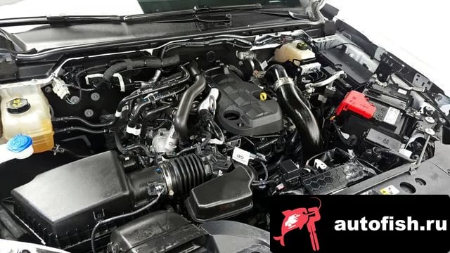 Ford Ranger Ranger 4th Generation 2024 года - вид 6