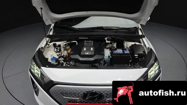 Hyundai Ioniq The New Ionic Electric 2019 года - вид 6